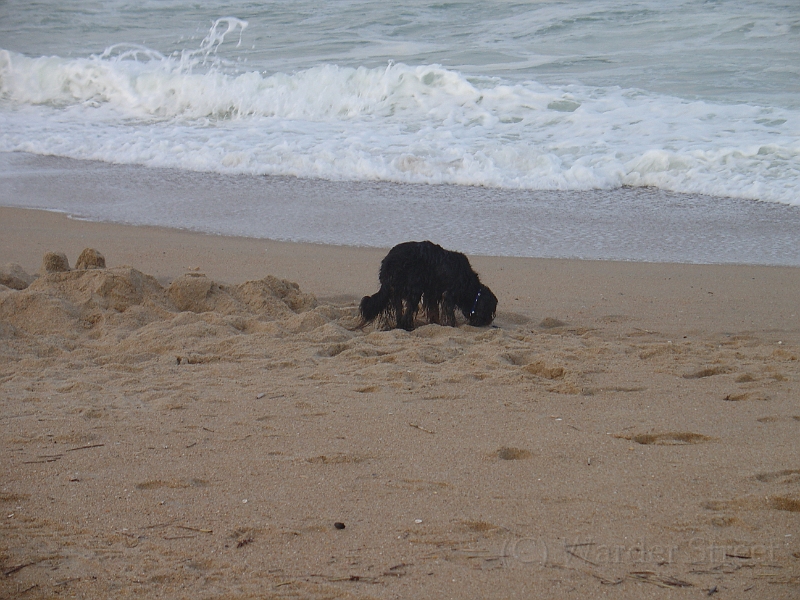 Outer Banks 2006 077.jpg